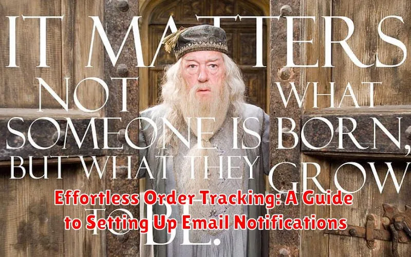 Effortless Order Tracking: A Guide to Setting Up Email Notifications
